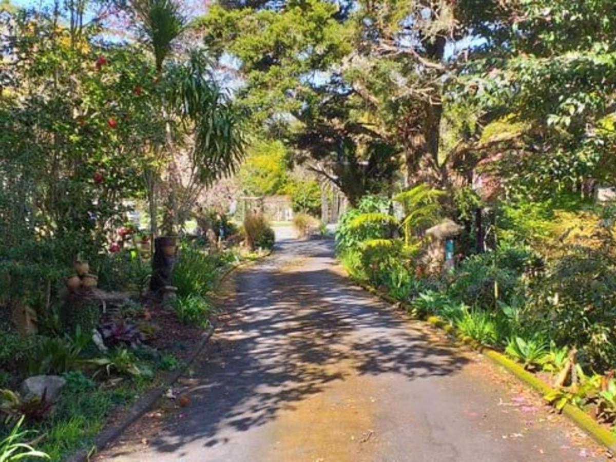 Waimoana Garden Accommodation Whangarei Ngoại thất bức ảnh